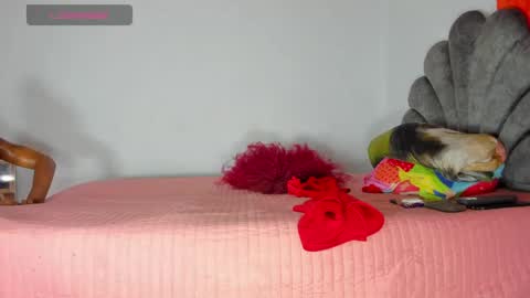 vicky manuela online show from 05/01/26, 08:30