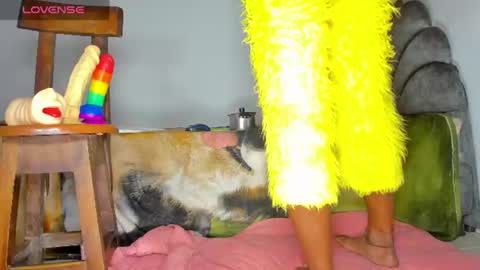 vicky manuela online show from 06/25/26, 04:34