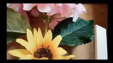 Snapshot of vickyvalencia2 chatting on 05/04/26, 02:02 vickyvalencia2 online show from 05/04/26, 02:02
