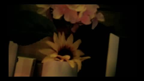 Snapshot of vickyvalencia2 chatting on 05/05/26, 02:30 vickyvalencia2 online show from 05/05/26, 02:30