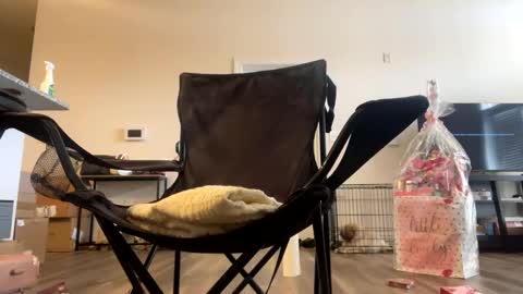 Snapshot of victoryd007 chatting on 02/22/25, 07:25 victoryd007 online show from 02/22/25, 07:25