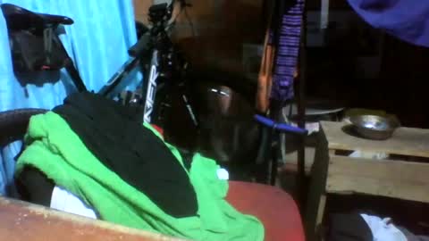viernes1010 online show from 06/21/26, 03:03
