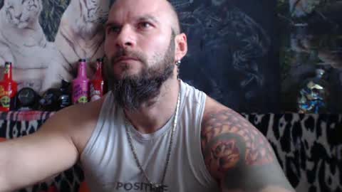 Snapshot of viking_me chatting on 12/31/24, 10:04 viking online show from 12/31/24, 10:04