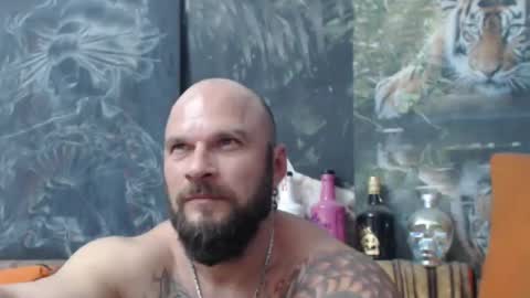 viking online show from 10/29/25, 09:27