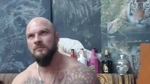 viking online show from 11/05/25, 08:20