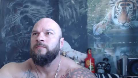 viking online show from 04/26/26, 06:33