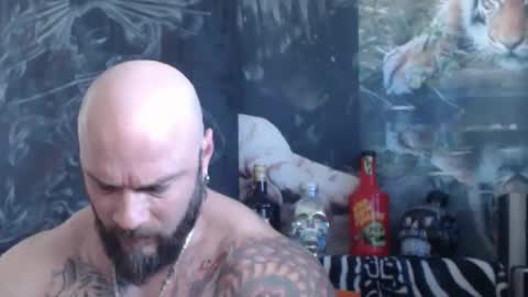 viking online show from 04/28/26, 06:40