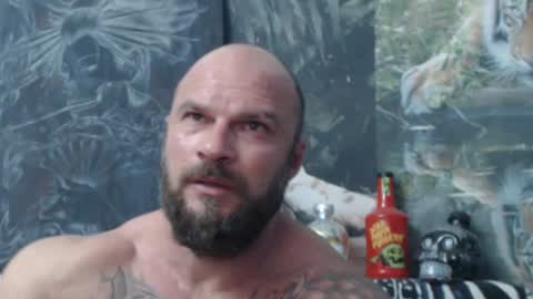 viking online show from 06/21/26, 06:10