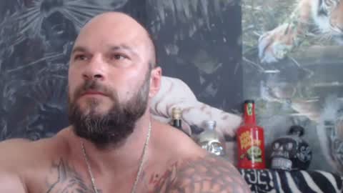 viking online show from 06/24/26, 06:34