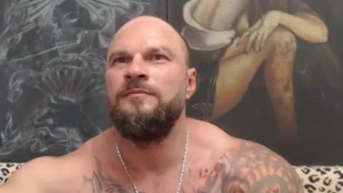 viking online show from 06/24/26, 06:40
