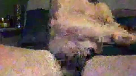 Vinny online show from 05/01/26, 07:46