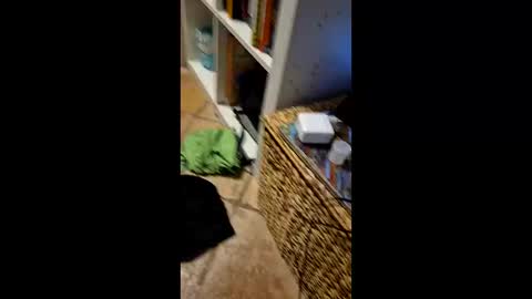 Vinz online show from 03/11/26, 02:17