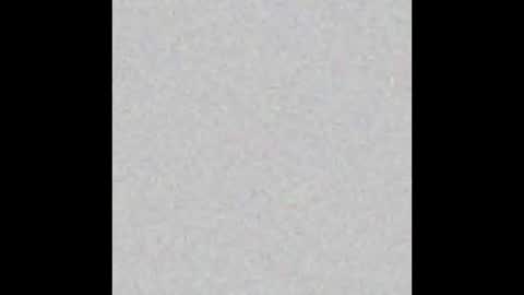 VIOLETA AND MAXX online show from 11/09/25, 11:03