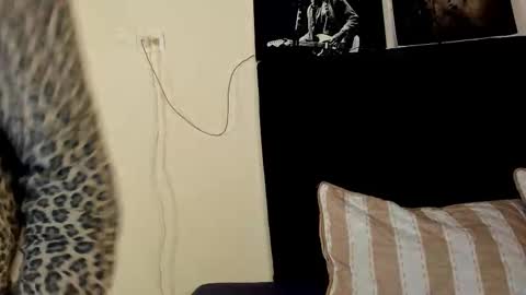 Violet salvatore online show from 12/16/25, 05:45