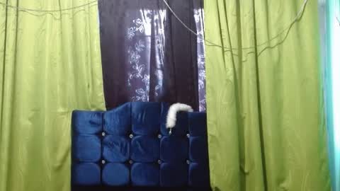 Snapshot of violetta_dreams chatting on 07/01/26, 07:24 violetta_dreams online show from 07/01/26, 07:24