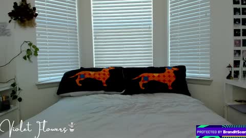 Violet Flowers online show from 01/05/25, 06:13