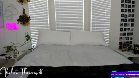 Violet Flowers online show from 09/08/25, 05:12