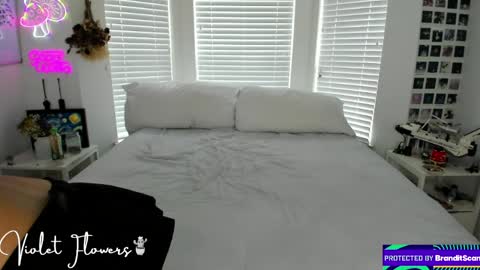 Violet Flowers online show from 05/04/26, 03:52