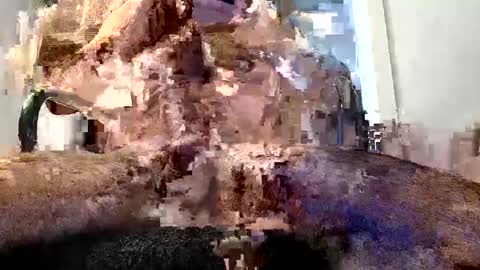 horny guy online show from 05/29/26, 02:48