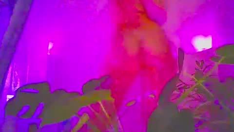 Snapshot of vixenkittenxo chatting on 11/15/25, 05:09 vixenkittenxo online show from 11/15/25, 05:09