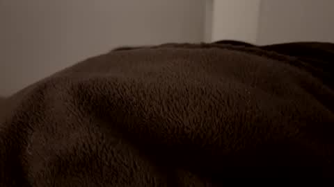 Snapshot of vm93m chatting on 12/02/24, 02:53 John online show from 12/02/24, 02:53