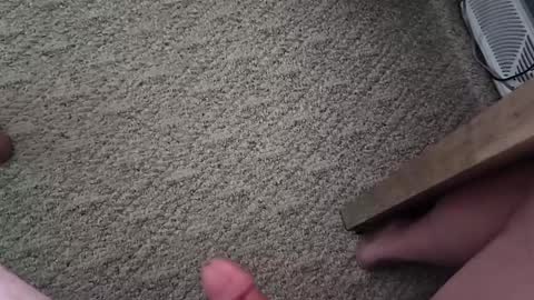 Snapshot of vtxrider77 chatting on 10/01/25, 03:40 vtxrider77 online show from 10/01/25, 03:40