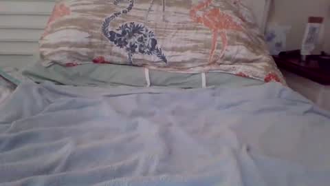 Snapshot of vwjim26 chatting on 09/26/25, 04:00 vwjim26 online show from 09/26/25, 04:00