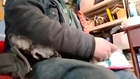 Snapshot of waffywaff77 chatting on 01/12/25, 11:58 waffywaff77 online show from 01/12/25, 11:58