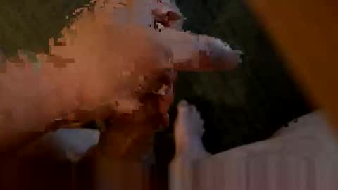 Dirty Slut Teacher online show from 04/15/26, 01:12