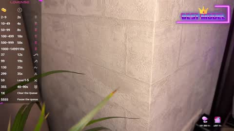 Walt Enjoy online show from 02/01/25, 08:26