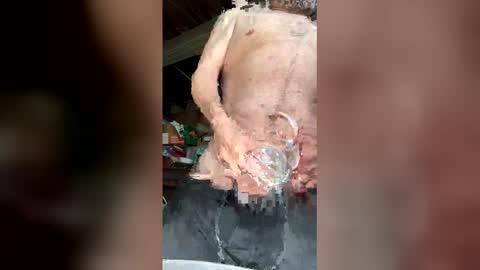 Snapshot of waltbkk chatting on 03/12/26, 05:52 Walter online show from 03/12/26, 05:52