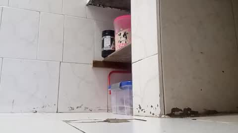 Snapshot of waltherfeet_ chatting on 01/02/25, 09:50 WaltherFeet online show from 01/02/25, 09:50