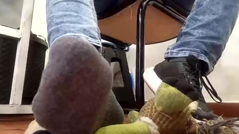 Snapshot of waltherfeet_ chatting on 02/10/25, 06:56 WaltherFeet online show from 02/10/25, 06:56