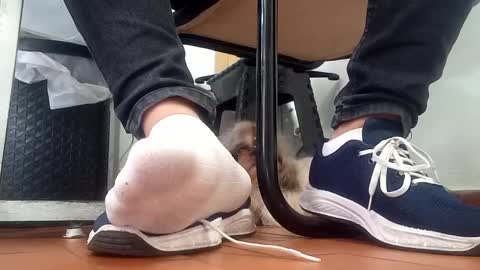 Snapshot of waltherfeet_ chatting on 09/08/25, 04:50 WaltherFeet online show from 09/08/25, 04:50