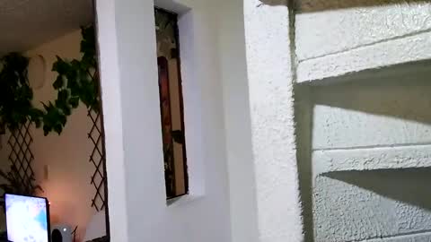 Snapshot of waningrosee chatting on 01/04/25, 02:25 Waningrose  Lu online show from 01/04/25, 02:25