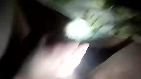 Snapshot of wariatos3 chatting on 01/10/25, 12:17 wariatos3 online show from 01/10/25, 12:17