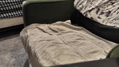 Daddy online show from 01/03/25, 09:57