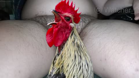 Snapshot of watcher_9 chatting on 12/08/24, 08:15 classified online show from 12/08/24, 08:15