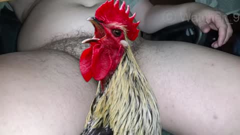 Snapshot of watcher_9 chatting on 12/24/24, 11:33 classified online show from 12/24/24, 11:33