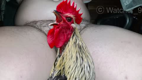 Snapshot of watcher_9 chatting on 12/25/24, 08:50 classified online show from 12/25/24, 08:50