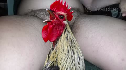 Snapshot of watcher_9 chatting on 12/29/24, 01:34 classified online show from 12/29/24, 01:34