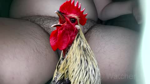 Snapshot of watcher_9 chatting on 10/07/25, 08:17 classified online show from 10/07/25, 08:17