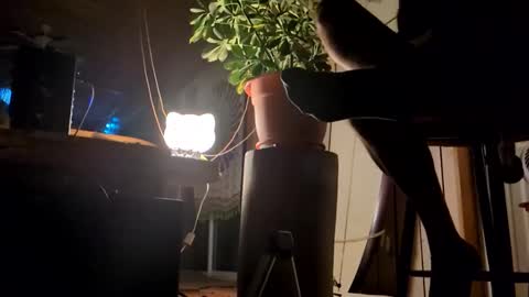 Snapshot of watershed111111 chatting on 01/12/26, 09:03 watershed111111 online show from 01/12/26, 09:03