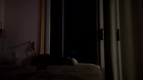 Snapshot of watershed111111 chatting on 01/14/26, 03:56 watershed111111 online show from 01/14/26, 03:56