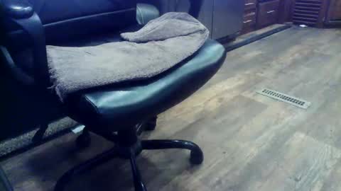 wayne1311 online show from 02/03/26, 06:46