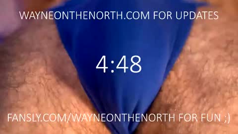 Snapshot of waynenorth chatting on 02/20/25, 04:25 waynenorth online show from 02/20/25, 04:25