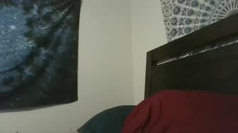 Snapshot of wd40willy chatting on 03/19/26, 05:00 Viking Man online show from 03/19/26, 05:00