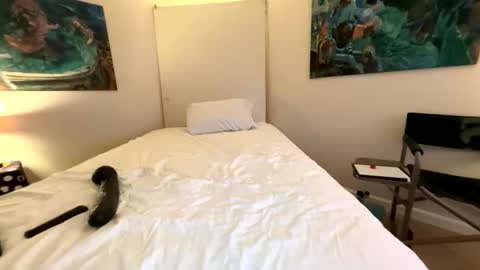 Snapshot of webcameraon chatting on 03/07/26, 07:38 Retainer Forever Solo Album online show from 03/07/26, 07:38