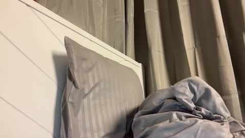Maggie online show from 05/10/26, 12:16