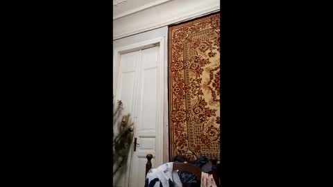 Snapshot of webgirl2 chatting on 02/26/25, 04:14 Marina online show from 02/26/25, 04:14